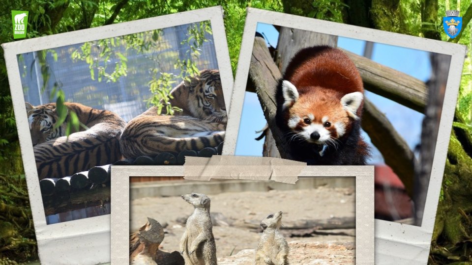 Ziua Mondială a Biodiversității, miercuri, la Zoo Brașov