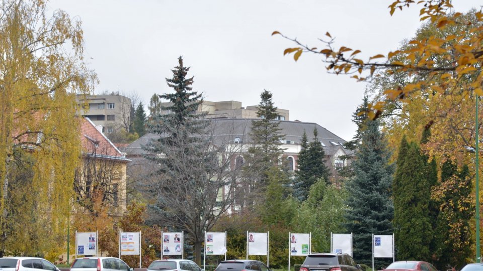 28 de panouri de afișaj electoral în municipiul Brașov