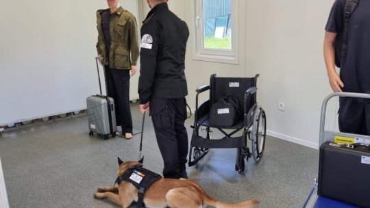 Câini special dresați vor participa la verificări în penitenciarele din România pentru a preveni și depista traficul de droguri