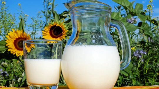 Laptele românesc ar urma să fie cu 20% mai ieftin la raft de astăzi