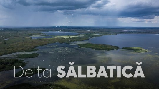 A fost lansat trailerul documentarului „Delta Sălbatică”. Irina Rimes cântă în film