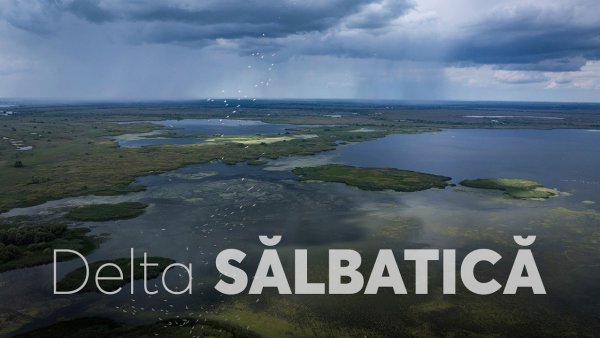 A fost lansat trailerul documentarului „Delta Sălbatică”. Irina Rimes cântă în film