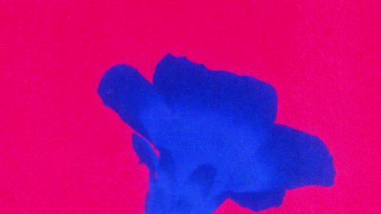 Jonas Blue și Izzy Bizu au lansat singleul “Lifeline”