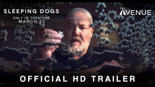„Sleeping Dogs” se poate vedea în cinematografele din Braşov