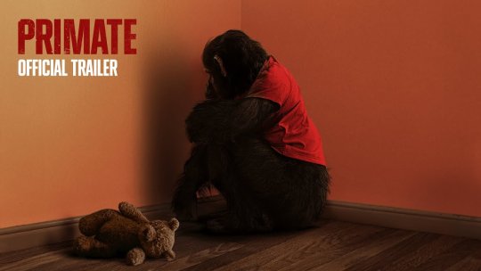 VIDEO Filmul „Instinct Primal”, în premieră absolută la Dracula Film Festival