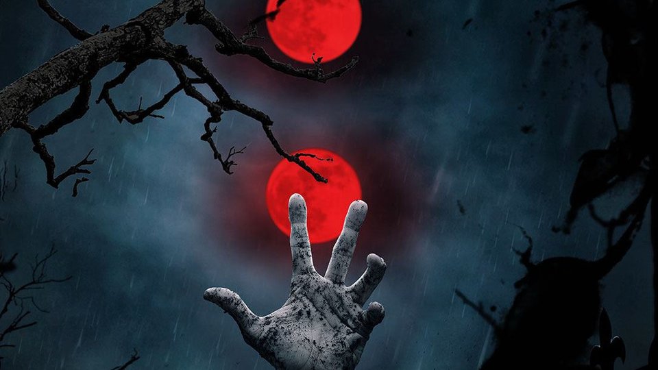 Dracula Film Festival începe miercuri