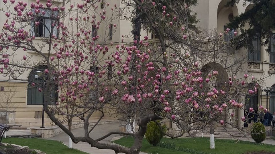 Bursa locurilor de muncă s-a încheiat. Doar trei persoane angajate.