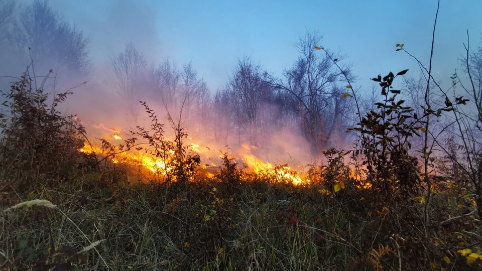 Zeci de hectare de vegetaţie uscată au ars în judeţul Braşov