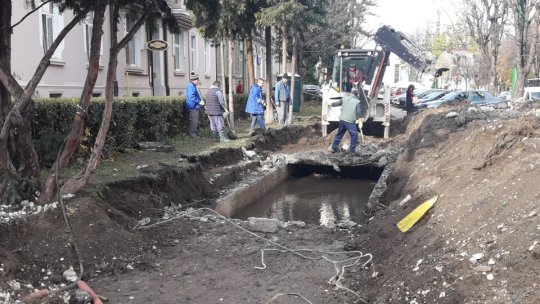Canalul Timiș, de pe Castanilor, descoperit pentru a fi igienizat