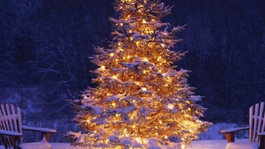 Crăciun ecologic la Făgăraş