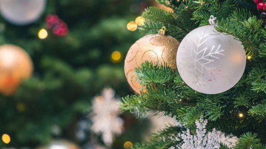 "Bradul de Crăciun" la Sala Sporturilor din Braşov