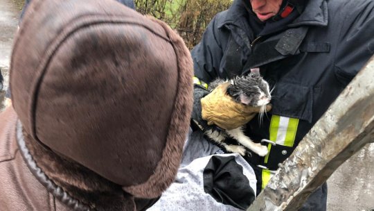 Misiune spectaculoasă a pompierilor din Braşov