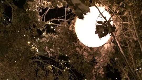 Castelul Bran susține Ora Pământului