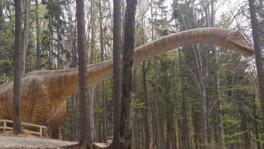 Dino Park și-a dublat suprafața și numărul de "locatari"