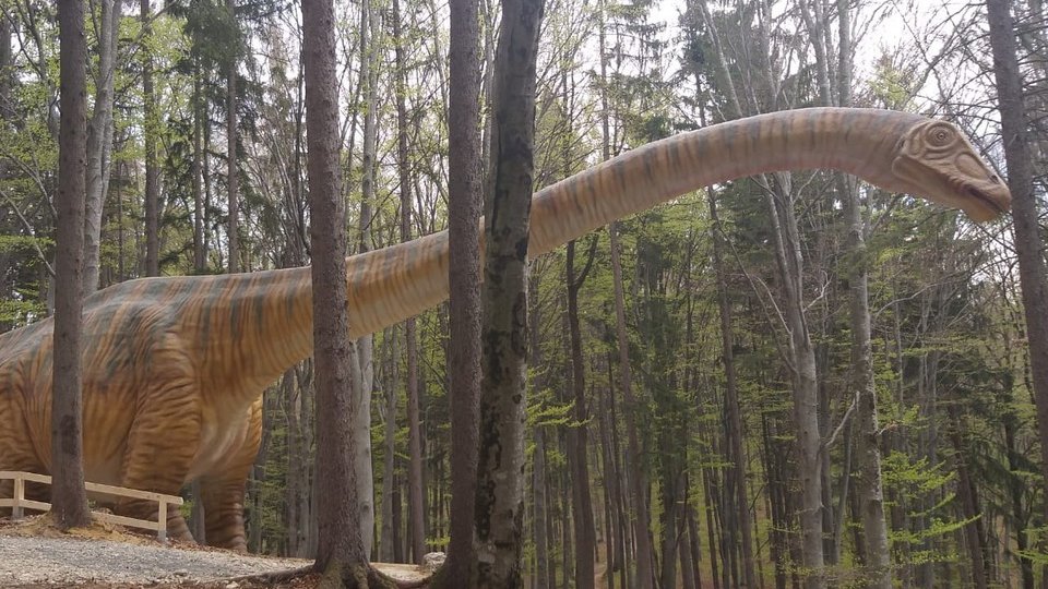 Dino Park și-a dublat suprafața și numărul de "locatari"