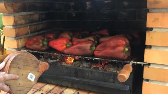 Liber la grătare doar în locurile special amenajate!