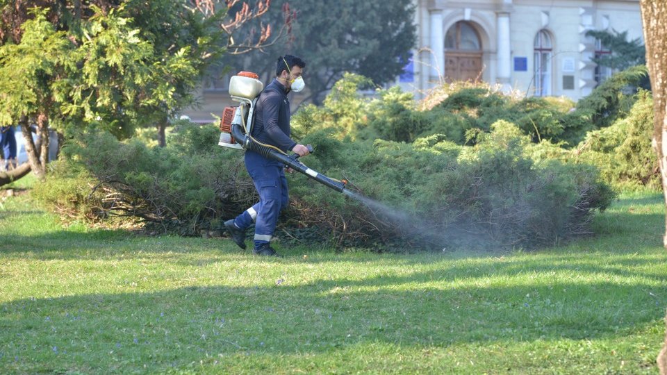 A început campania pentru combaterea capușelor