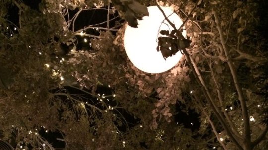 Ziua Energiei va fi marcată la Braşov