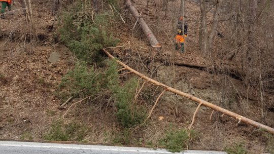 Specialiştii decid, la sfârşitul lunii, dacă pot deschide sau nu Transalpina