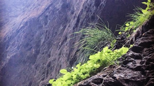 Cei mai buni jandarmi montani din Brașov au fost premiați pentru activitatea avută în 2018