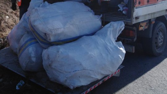 Serviciile de salubritate urmează să fie scoase la licitație