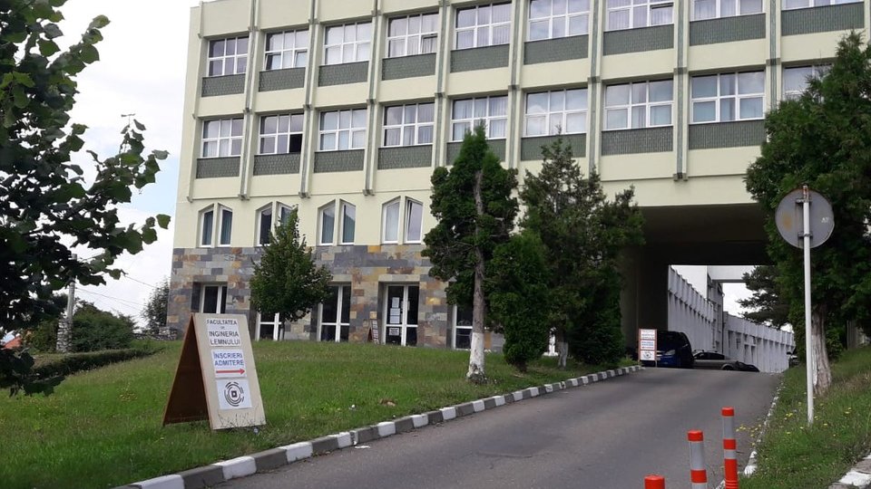 Singura facultate care pregătește specialiști în prelucrarea lemnului duce lipsă de candidați