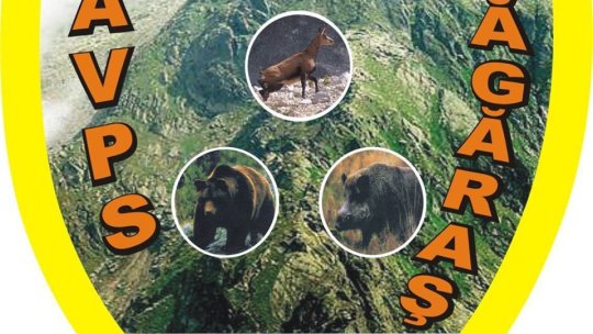 Apele de munte din Făgăraş au fost repopulate cu păstrăv