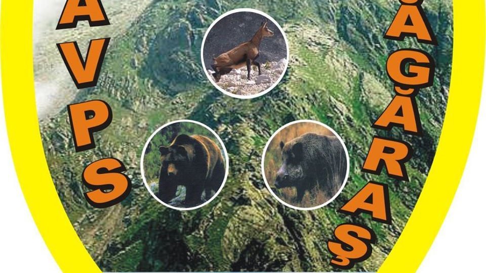 Apele de munte din Făgăraş au fost repopulate cu păstrăv