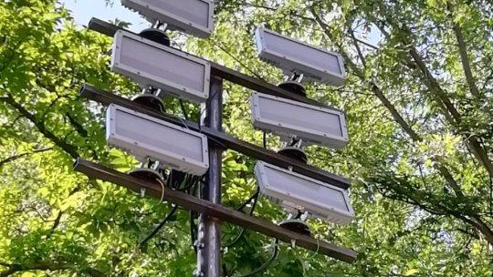 Clădirea Primăriei va fi iluminată arhitectural, începând cu acest weekend