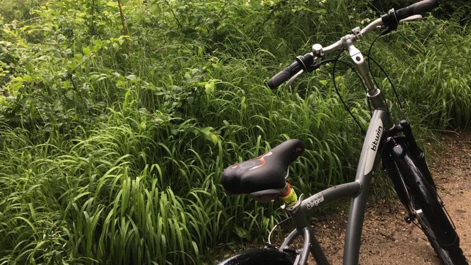 Două trasee de bicicletă vor fi inaugurate, la poalele Făgăraşului