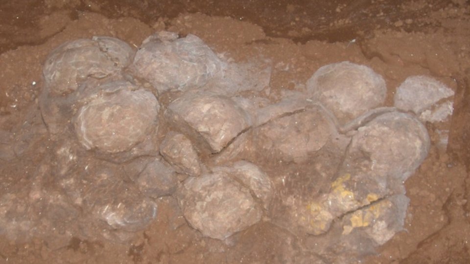 Expoziţie de cuiburi de ouă de dinozaur la Dino Parc Râşnov