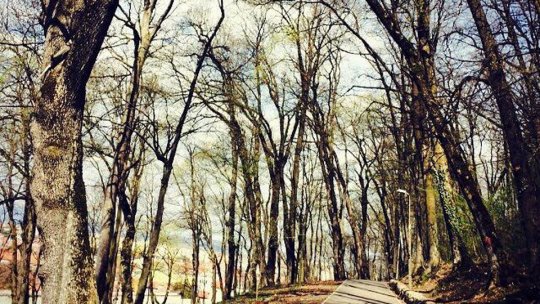 Vine iarna, la început de toamnă