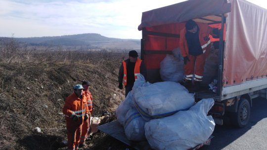 Containere speciale pentru curăţenia de toamnă