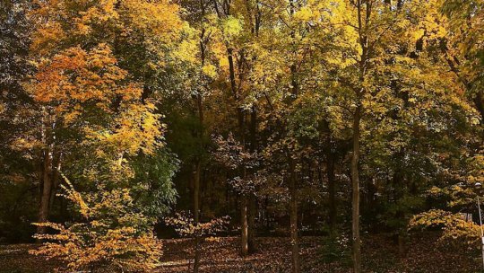 Tradiții și superstiții legate de echinocțiul de toamnă