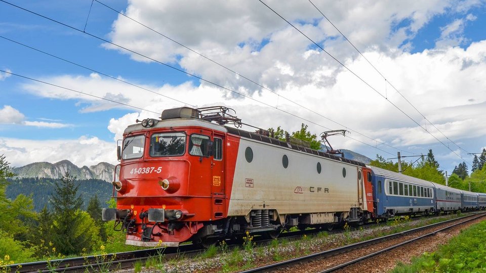 5 cai, omorâţi de tren în judeţul Braşov