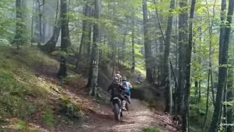 Fără motoare în pădurile Brașovului