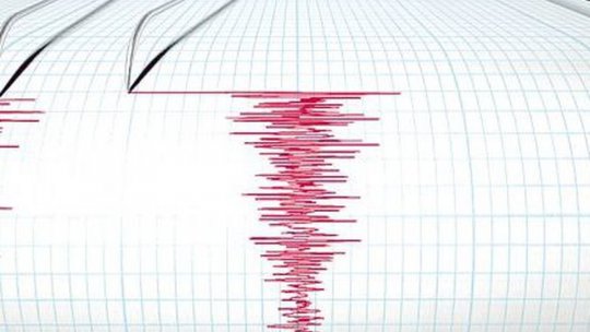 Cutremur în zona seismică Vrancea
