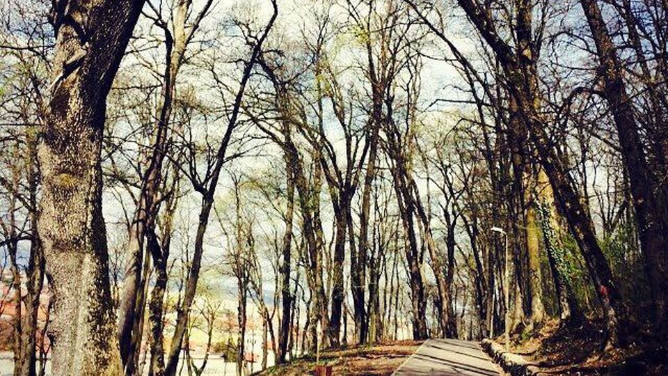 Masca va fi obligatorie și pe străzile Mureșenilor, Apollonia Hirscher și Aleea de Sub Tâmpa