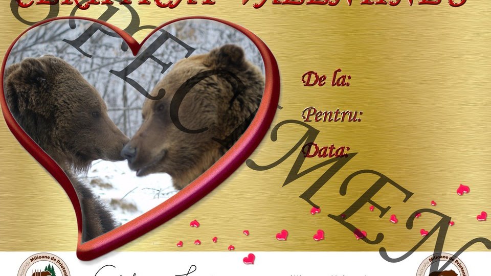 Dăruiește un suflet din suflet, de Valentine's Day