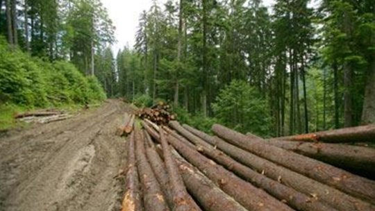 Mai mulţi politicieni de la USR au blocat iniţiativa Guvernului de a desfiinţa Garda Naţională Forestieră