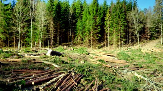 România în procedură de infringement pentru poluare