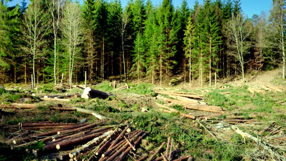 România în procedură de infringement pentru poluare