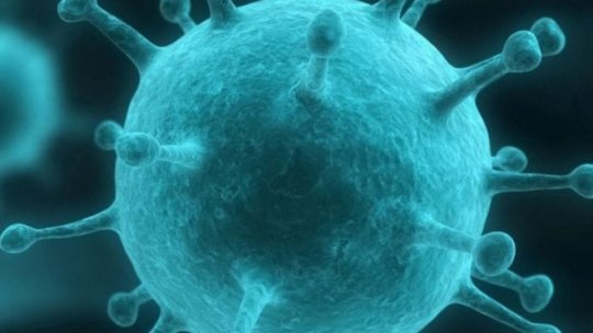 Un nou record negativ! 27 de unităţi de învăţământ din judeţ au fost închise parţial, astăzi, din cauza gripei