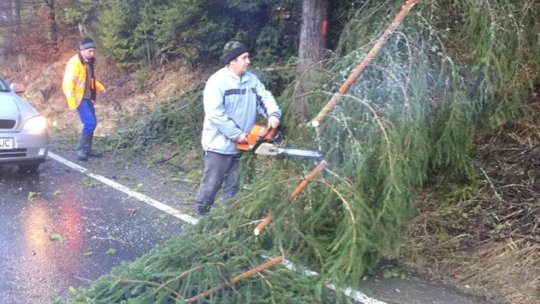 Vântul puternic a creat pagube în judeţul Braşov
