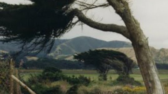 Şcoli închise şi localităţi fără curent electric, din cauza vântului puternic