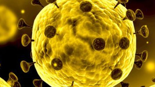 Suspecţii de coronavirus, băgați în carantină în taberele școlare de lângă Predeal