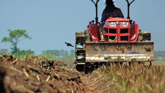 Culturile agricole locale, în pericol din cauza lipsei de precipitaţii din toamna trecută