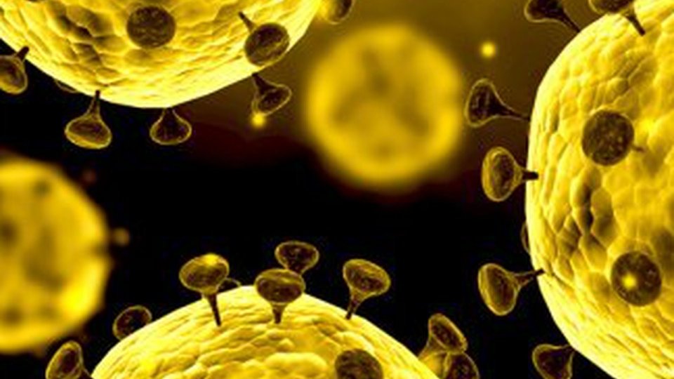 Noul coronavirus s-ar putea răspândi de la om la om prin sistemul digestiv