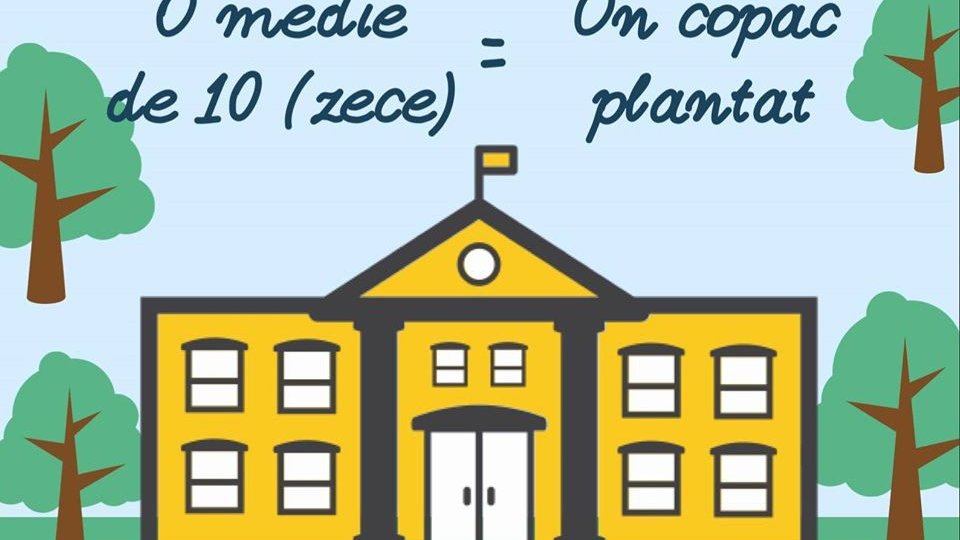 Iau nota 10, va fi plantat un copac. Proiect inedit al autorităților de la Cristian