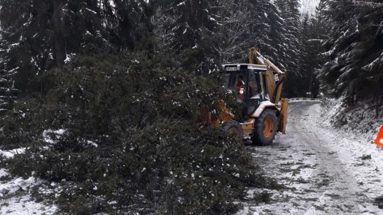 Noapte albă pentru echipele de intervenţie braşovene